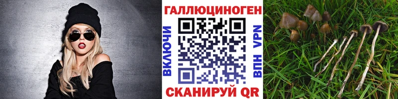 Галлюциногенные грибы Magic Shrooms  наркотики  Губкин 